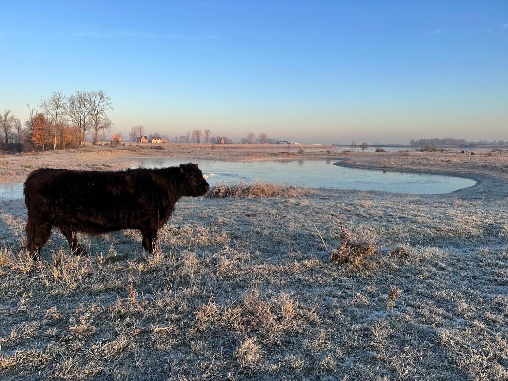 Wuytershoef Villa Dilsen Stokkem Bagian luar foto