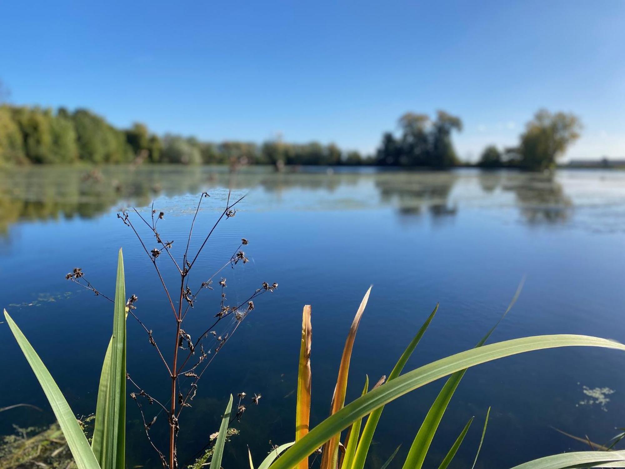 Wuytershoef Villa Dilsen Stokkem Bagian luar foto